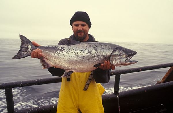 В Испании вырастили двухметрового тунца весом 146 килограммов