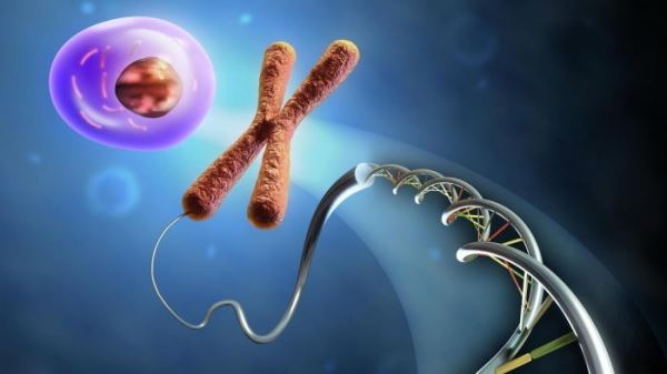 Вмешательство в человеческую ДНК обезопасили