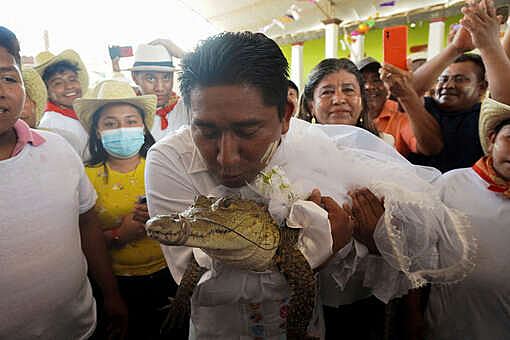 Мексиканский мэр женился на самке крокодила